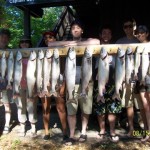 Salmon and Lake Trout Catch out of Glen Arbor